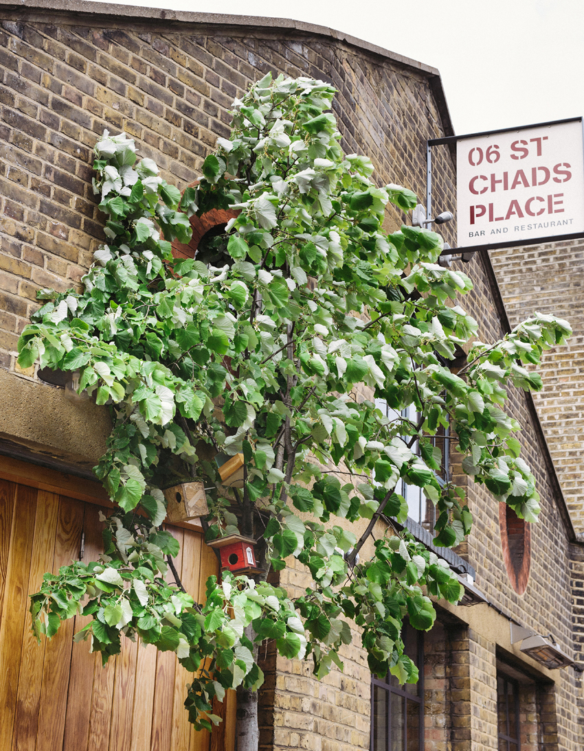 Warehouse wedding at 06 Chads Place